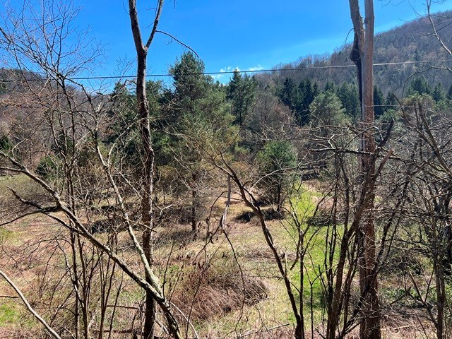 - Clear Creek Road, Emporium, PA 15834 - photo 4