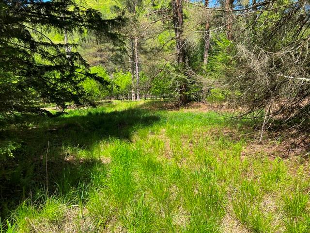 - Clear Creek Road, Emporium, PA 15834 - photo 16