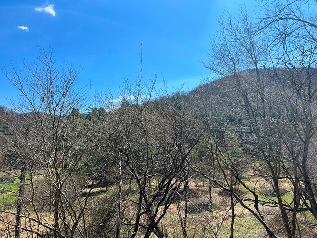 - Clear Creek Road, Emporium, PA 15834 - photo 3