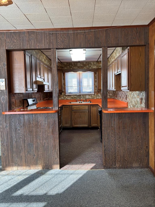 kitchen with sink, wood walls, and dark carpet