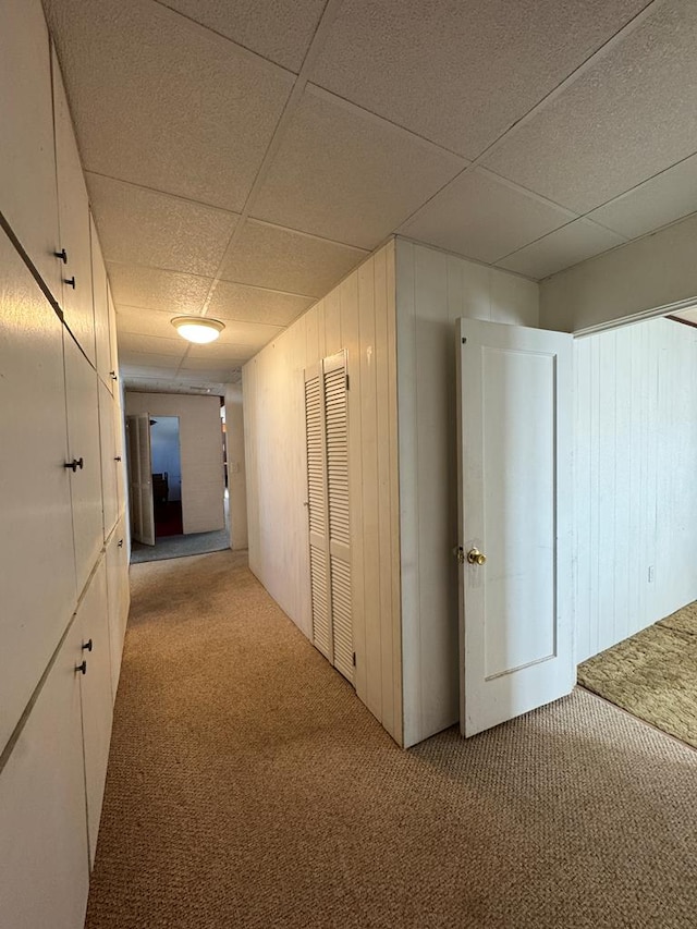 corridor featuring light carpet and a paneled ceiling