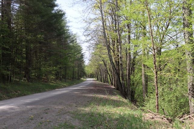 0 Mosier Rd, Wyalusing, PA 18853