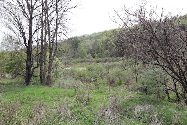 0 Mosier Rd, Wyalusing, PA 18853