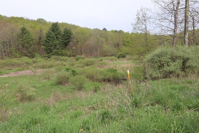 0 Mosier Rd, Wyalusing, PA 18853