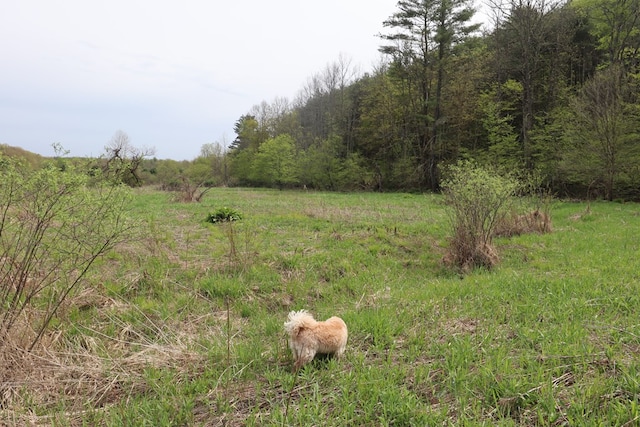 0 Mosier Rd, Wyalusing, PA 18853