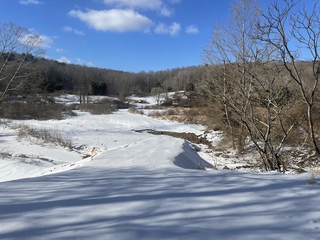 0 Mosier Rd, Wyalusing PA, 18853 land for sale