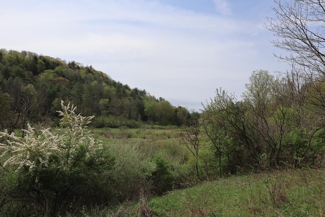 0 Mosier Rd, Wyalusing, PA 18853