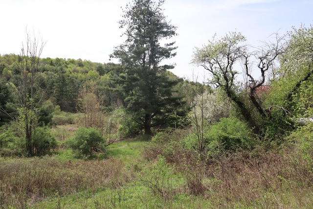 0 Mosier Rd, Wyalusing, PA 18853