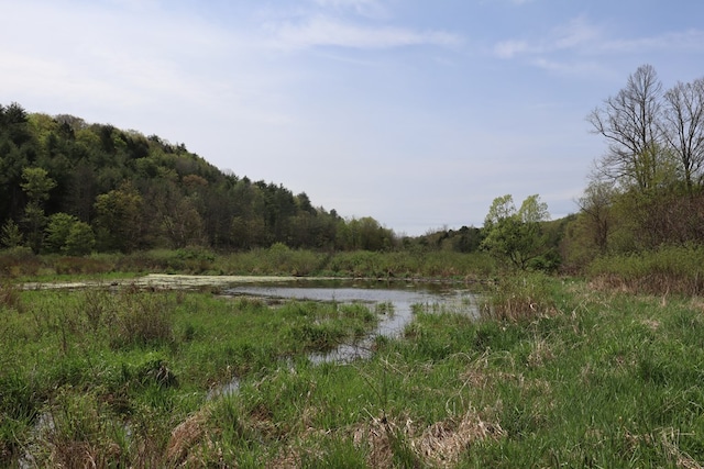 0 Mosier Rd, Wyalusing, PA 18853