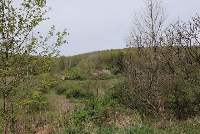 0 Mosier Rd, Wyalusing, PA 18853