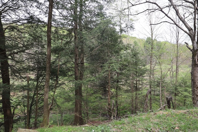 0 Mosier Rd, Wyalusing, PA 18853