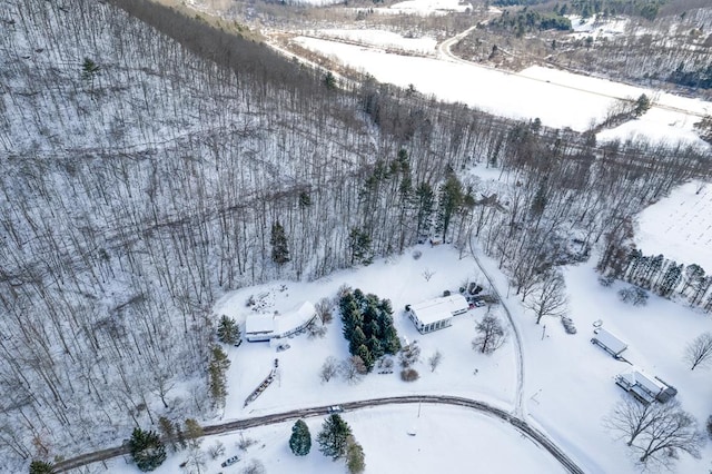 view of snowy aerial view