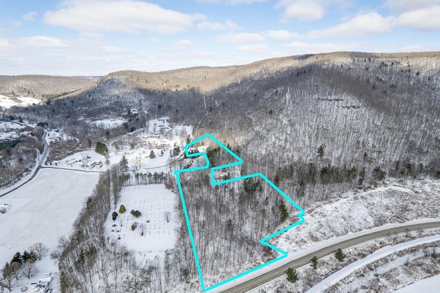 snowy aerial view featuring a mountain view