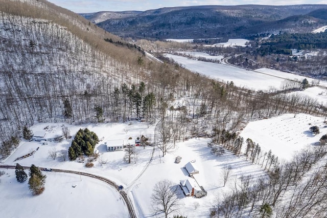 snowy aerial view featuring a mountain view