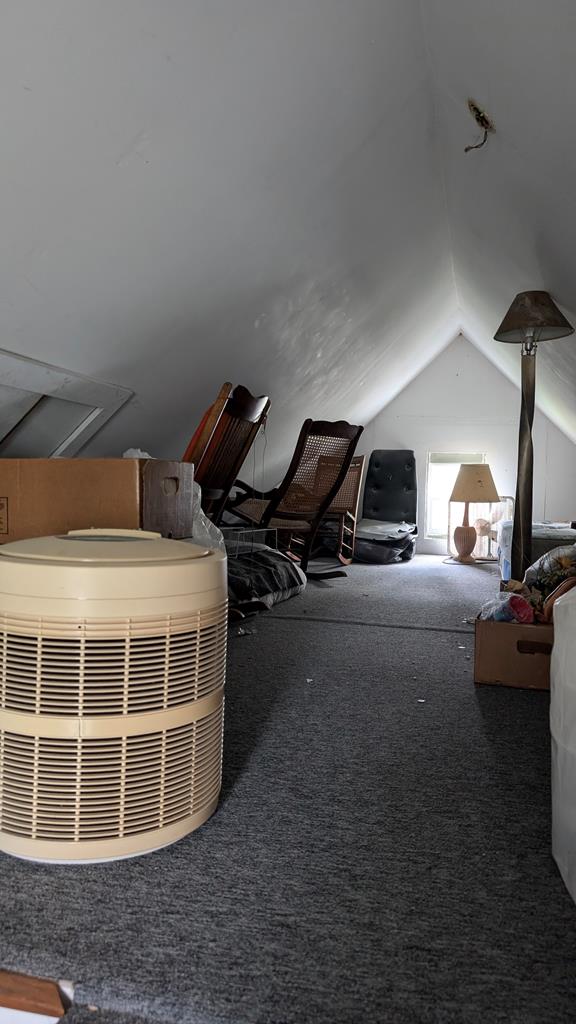 additional living space featuring carpet and lofted ceiling