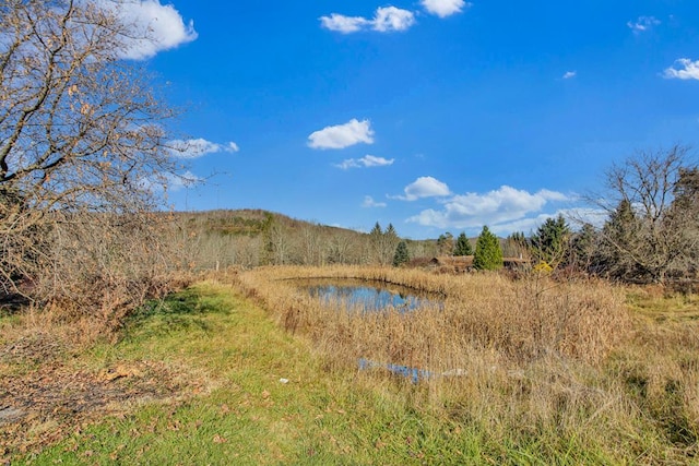 view of nature featuring a water view