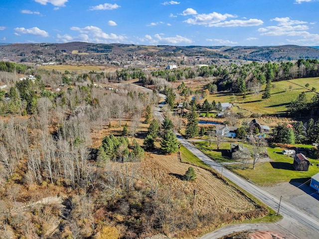 birds eye view of property with a mountain view and a rural view