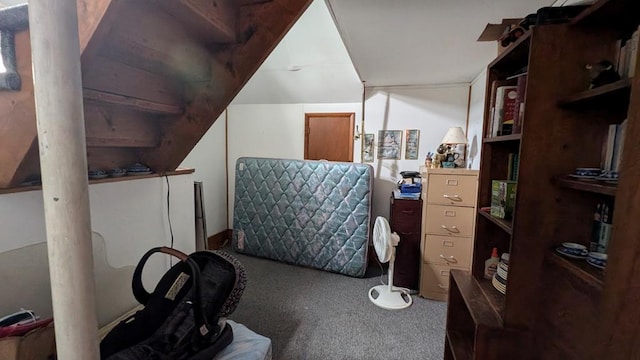 interior space with carpet and lofted ceiling