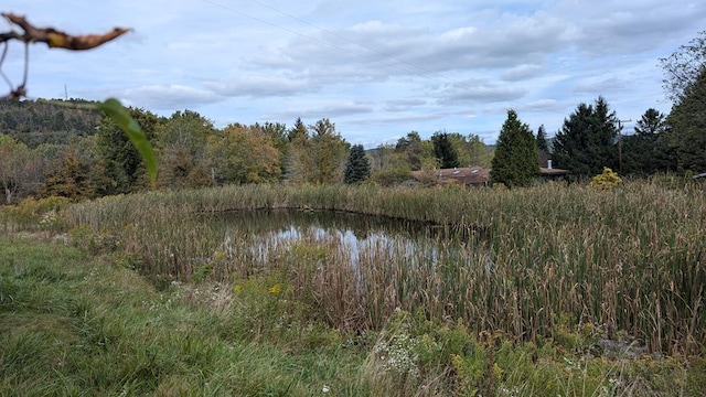 view of water feature