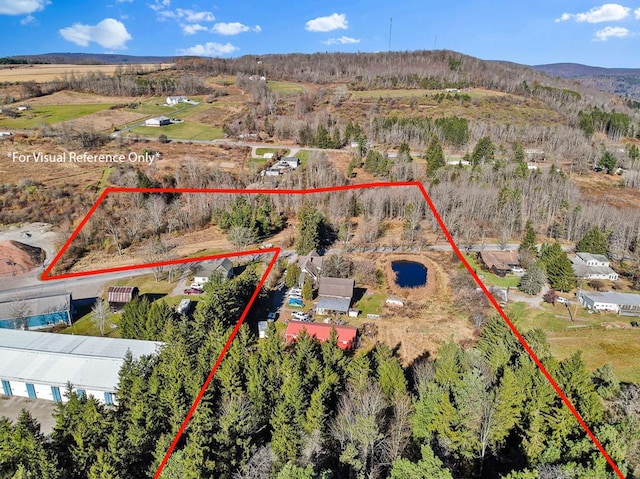 birds eye view of property with a mountain view