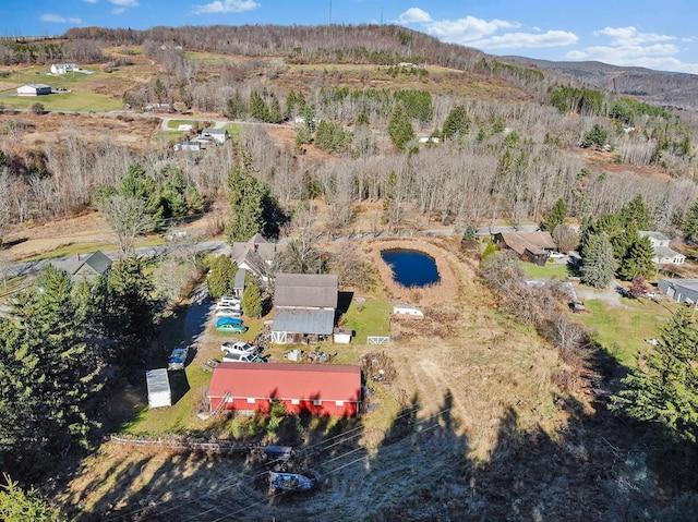 aerial view with a mountain view