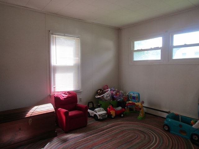 recreation room with baseboard heating, a wealth of natural light, and crown molding