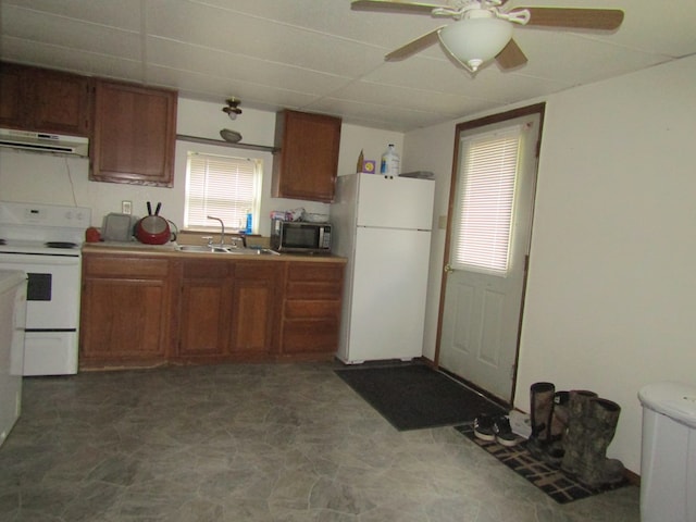 kitchen featuring exhaust hood, white appliances, ceiling fan, and sink