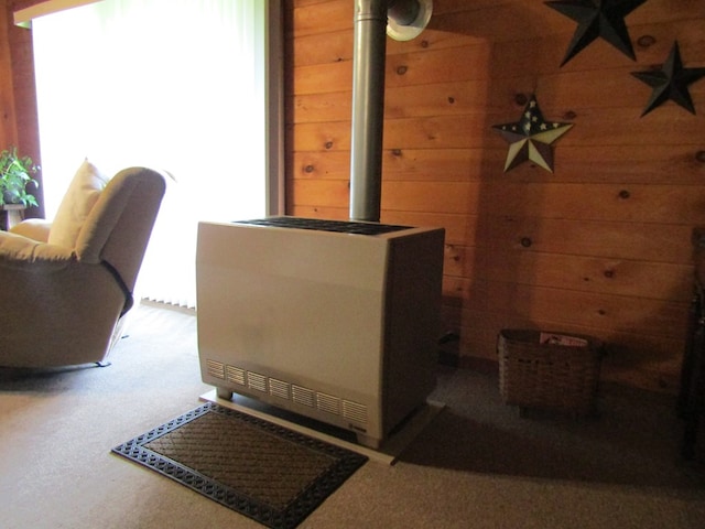 details featuring wood walls and carpet