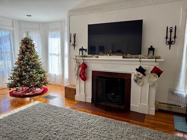 living room featuring a fireplace, wood-type flooring, and a baseboard radiator