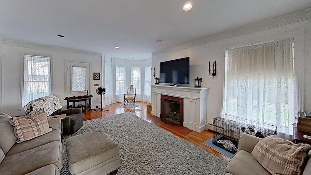 living room with crown molding and light wood-type flooring