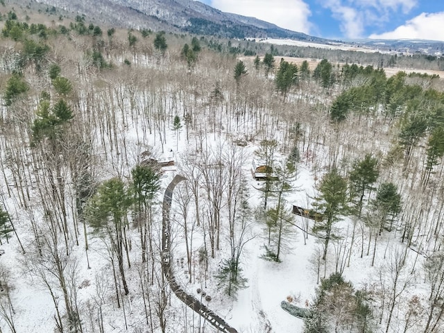 snowy aerial view with a mountain view