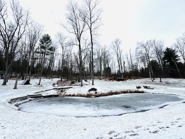 view of yard covered in snow