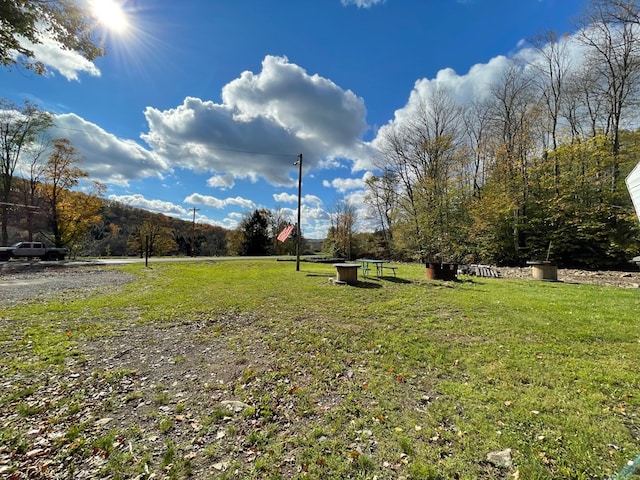 view of community with a lawn