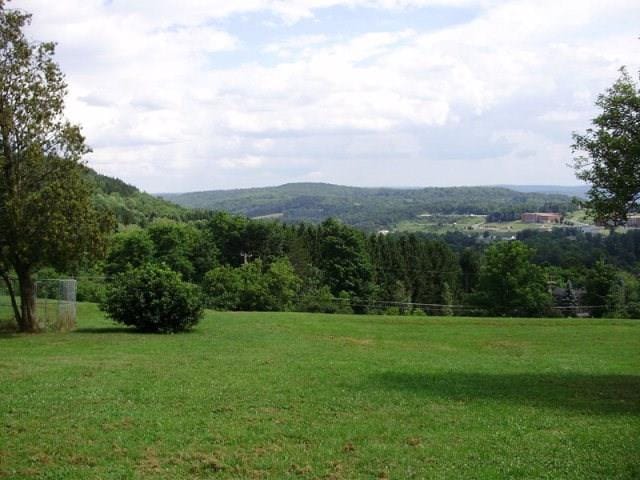 00 Pickle Hill Rd, Mansfield PA, 16933 land for sale