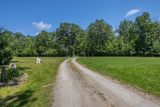 2542 Baldwin Run Rd, Wellsboro, PA 16901 - view of dirt / gravel road