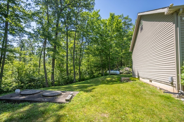 2542 Baldwin Run Rd, Wellsboro, PA 16901 - view of grassy yard