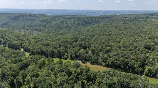 2542 Baldwin Run Rd, Wellsboro, PA 16901 - bird's eye view of a heavily wooded area