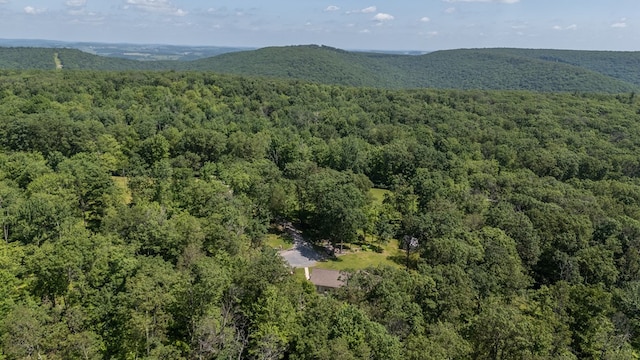 2542 Baldwin Run Rd, Wellsboro, PA 16901 - drone / aerial view of a mountain backdrop