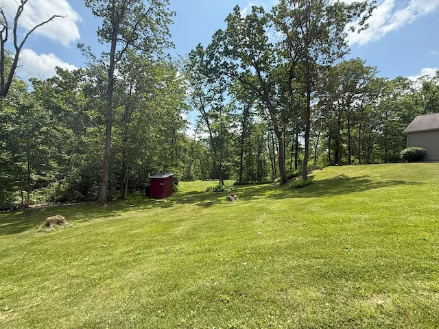 2542 Baldwin Run Rd, Wellsboro, PA 16901 - view of grassy yard with a shed