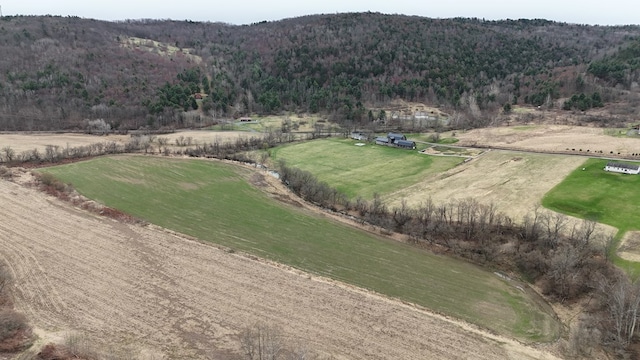 exterior space with a rural view, a forest view, and a mountain view