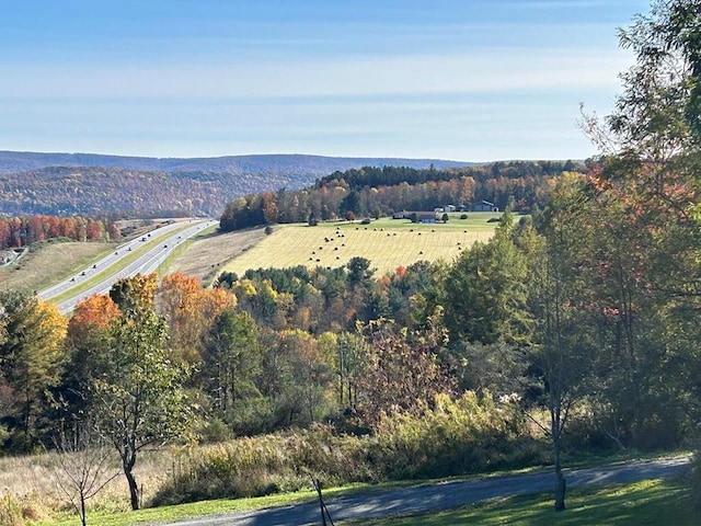 property view of mountains with a rural view