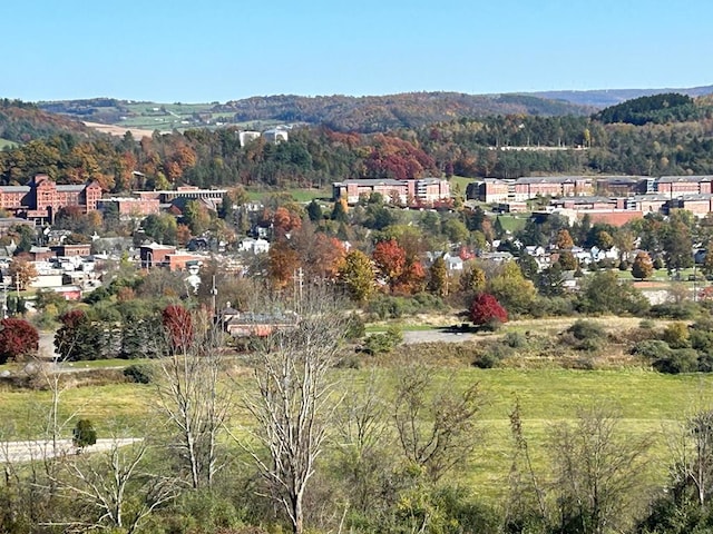 bird's eye view