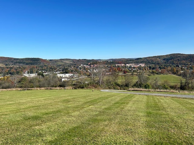 view of yard with a mountain view