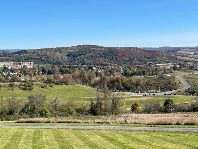 mountain view featuring a rural view