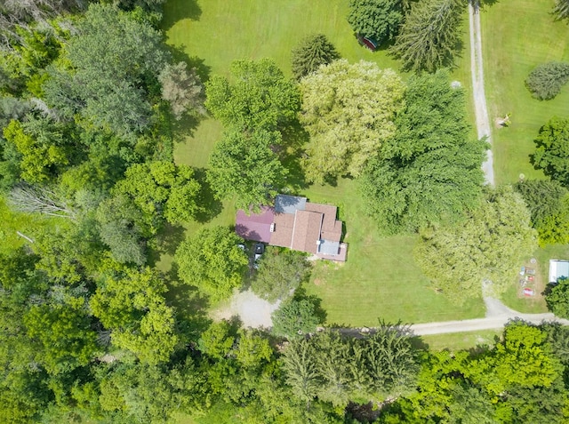 24 Maple Lawn Ln, Elkland, PA 16920 - photo 36