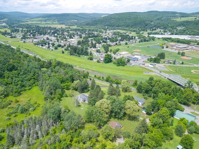 24 Maple Lawn Ln, Elkland, PA 16920 - photo 37
