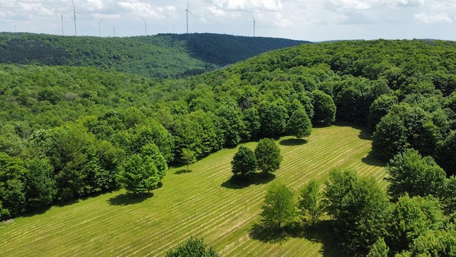 301 Brown Rd, Ulysses, PA 16948 - photo 5