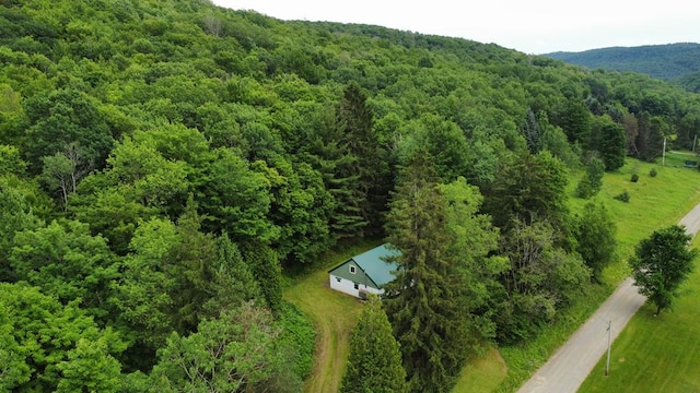 301 Brown Rd, Ulysses, PA 16948 - photo 2