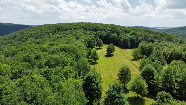 301 Brown Rd, Ulysses, PA 16948 - photo 20