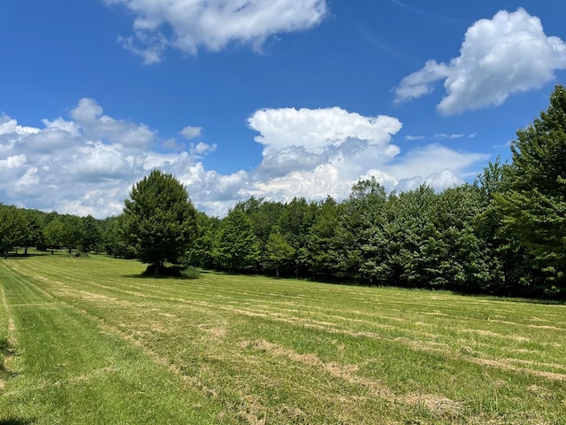 301 Brown Rd, Ulysses, PA 16948 - photo 17